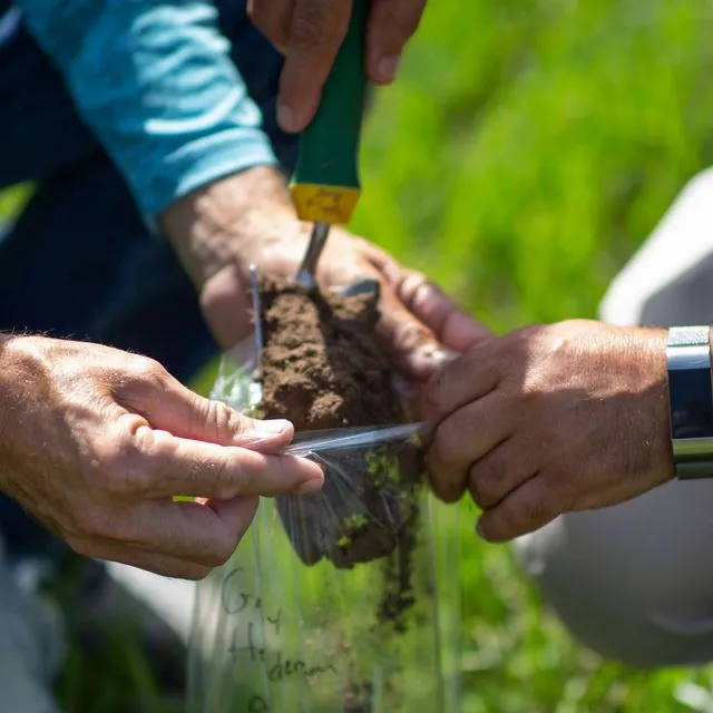 thumbnail for publication: Iron Oxide Strip as an Innovative Diagnostic Tool for Soil Phosphorus Management